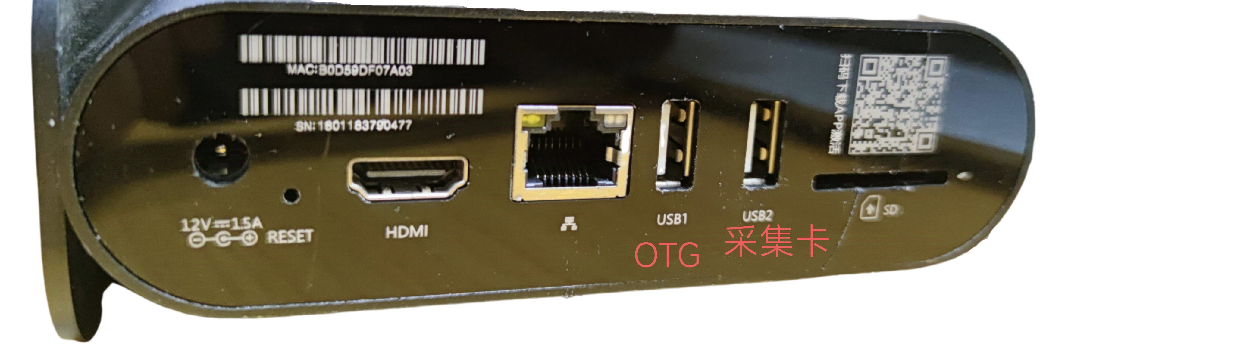 image-20240926220219805